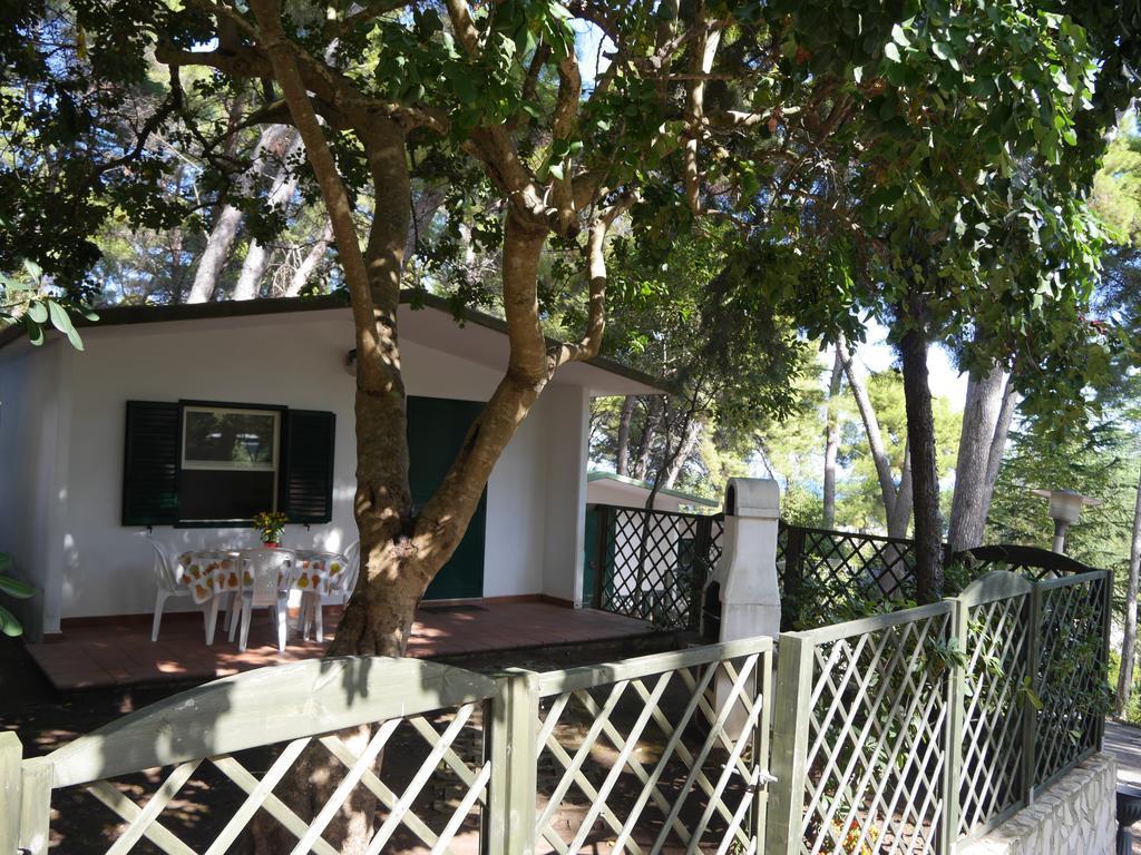Camping Villaggio Internazionale San Menaio Room photo