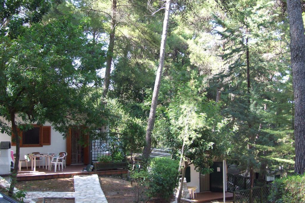 Camping Villaggio Internazionale San Menaio Room photo